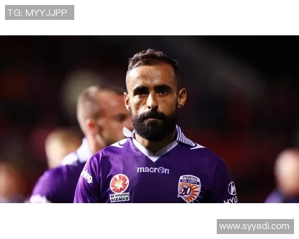 布里斯班与珀斯比赛前瞻分析及胜负预测详解