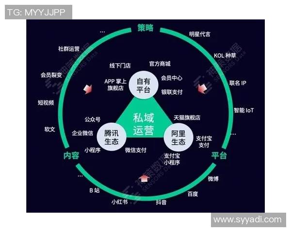 蜂播助力数字营销新风潮打造精准传播新模式