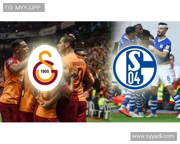 沙尔克04引援窗口成功签下土耳其国脚，中场实力将得到强化