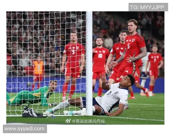 海沃德因伤缺阵对球队影响深远球迷期待其早日复出重返赛场